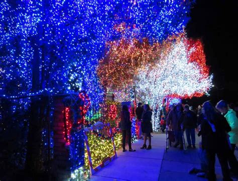 Bay Area holiday lights not to miss this season